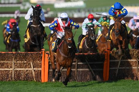mares novices hurdle tips